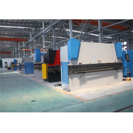 WE67K-100T / 3200 Hydraulische CNC-Blechblech-Abkantpresse für kundenspezifische Industriemaschinen